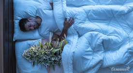 Тест: Узнай, какой сорт подходит под твои сны