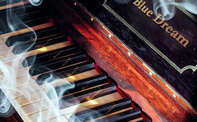 Мощная волна вдохновения и творческий потенциал, переходящий в состояние умиротворения Эффект сорта конопли Blue Dream