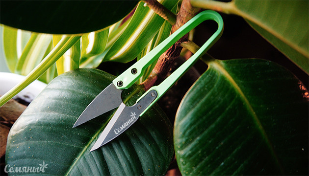 Ножницы для маникюринга