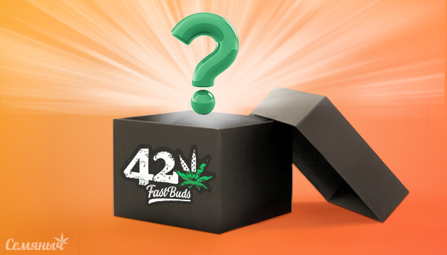 Секретный подарок от FastBuds Подарок от FastBuds