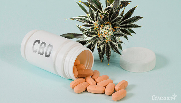 Первая в мире таблетка КБД для облегчения хронической боли