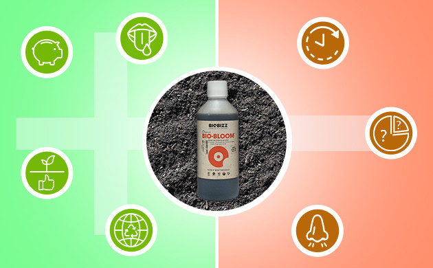 Плюсы и минусы органики