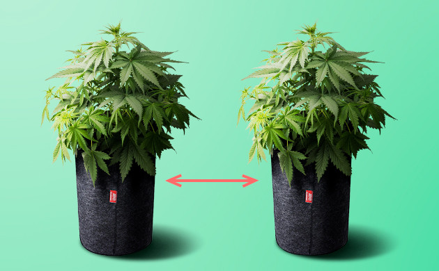 Контролировать температуру и уровень влажности Контролировать температуру и уровень влажности