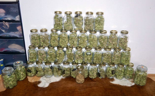 Урожай в банках