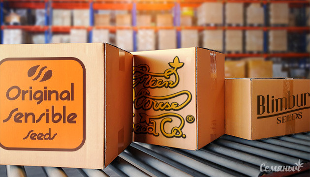 Новые сорта конопли от GHS, OSS, Blimburn