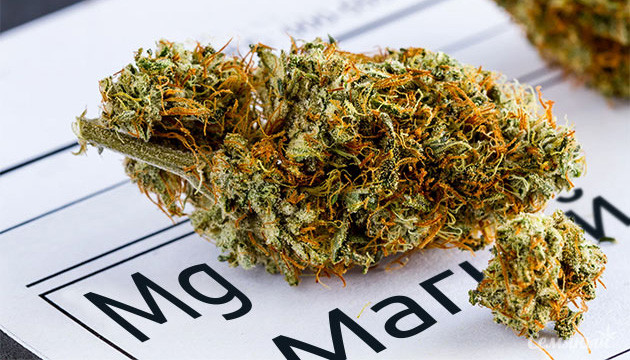 Дефицит магния у конопли