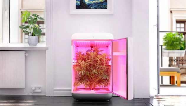 Гроубокс Seedo