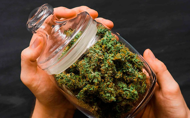 Сбор урожая, сушка и пролечка