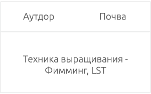 Выращивание сорта в аутдоре Условия выращивания