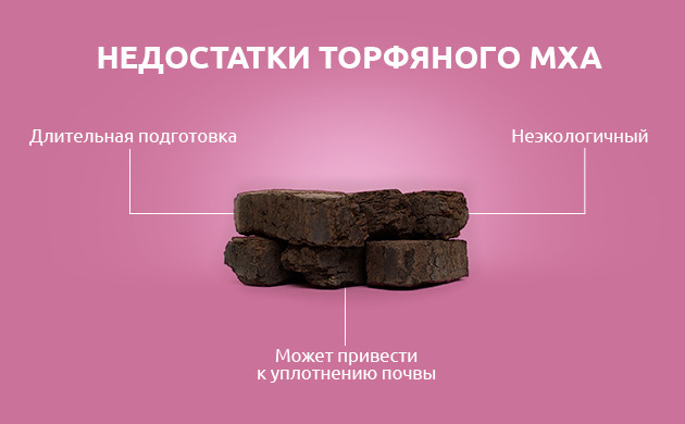 Недостатки торфяного мха для выращивания конопли
