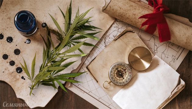 История конопли