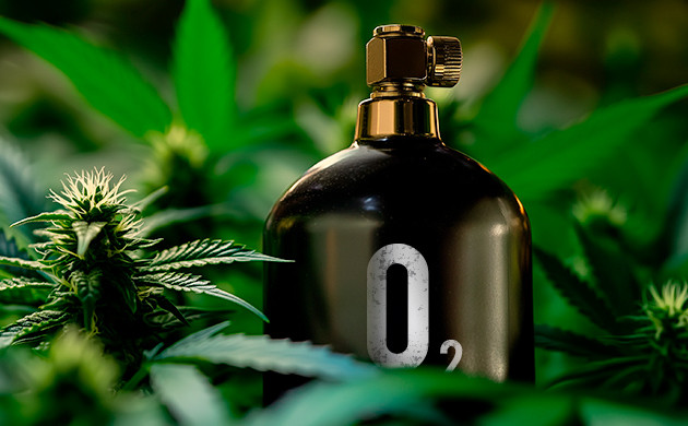 Растворённый кислород: залог богатого урожая