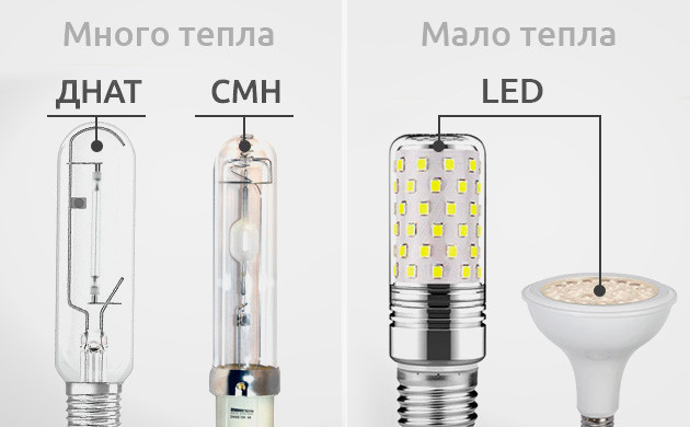 Коноплю нельзя согреть LED лампами