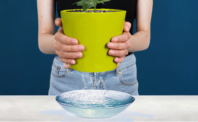 Слив лишней воды в отдельное блюдце