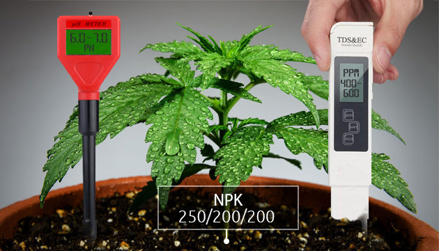 Соотношение полезных элементов в почвосмеси