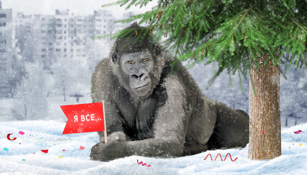 Новогодняя акция подошла к концу Новогодняя акция закончилась