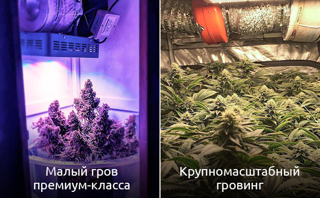 Преимущества блочных фильтров: сильная фильтрация для гроубоксов