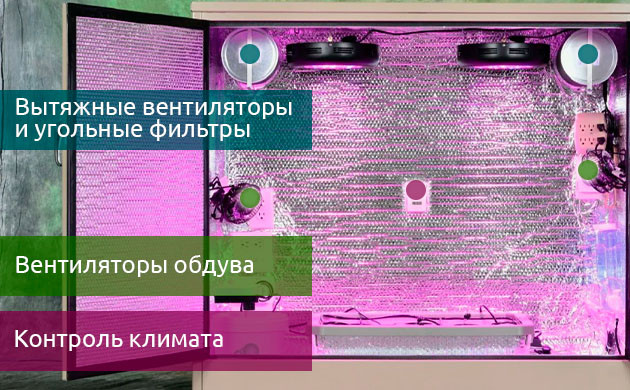 вентиляция и обдув растений