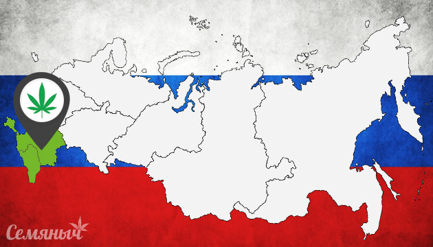 Сорта для южных регионов РФ