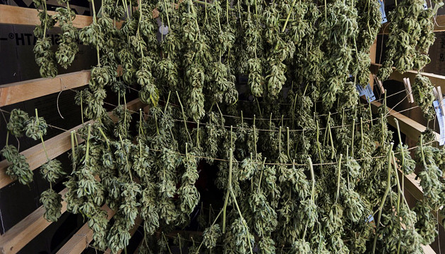 Сушка и пролечка урожая Сушка урожая