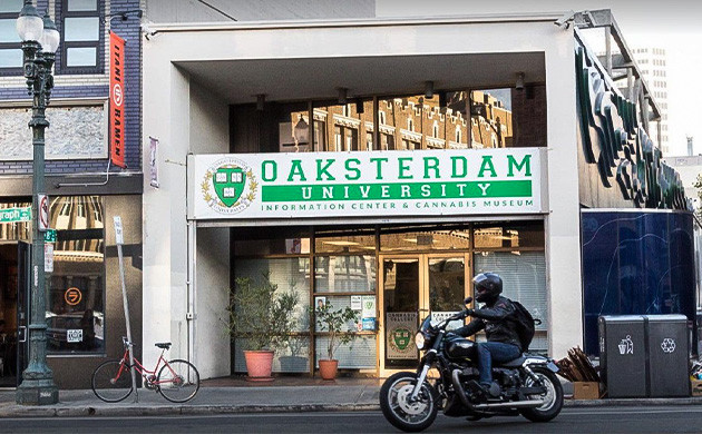 Университет Окстердам в Окленде Здание Oaksterdam University