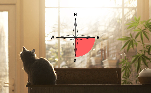 Оптимальная юго-восточная сторона