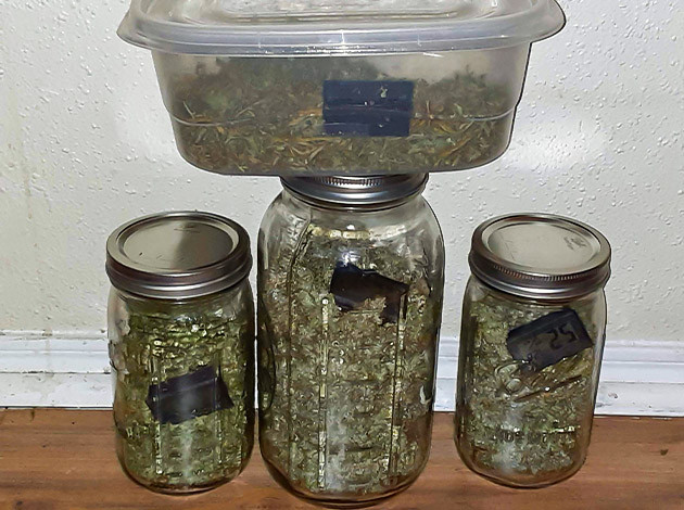 Сухой урожай конопли