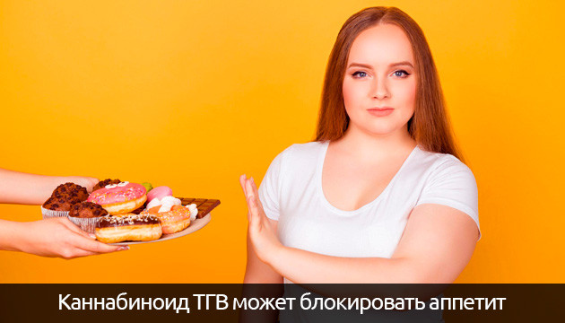 ТГВ подавляет аппетит Каннабиноид ТГВ блокирует аппетит