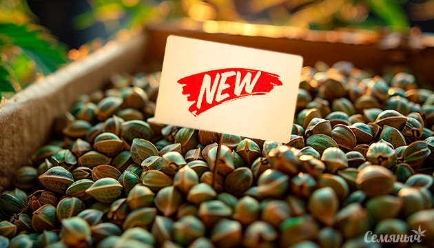 Новинки Семяныча Новые семена от Семяныча
