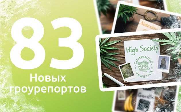 Новые гроурепорты в «Семяныче» Полезные дневники для гроверов