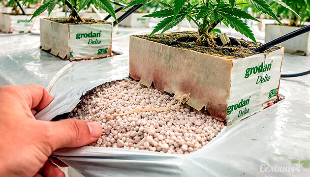 Использование пеностекла для гровинга: свойства и преимущества Пеностекло в качестве субстрата для конопли