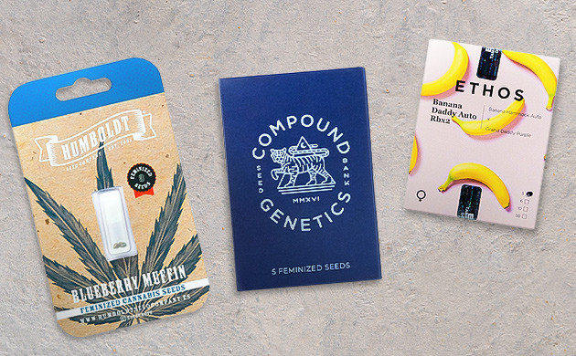 Новая эпоха каннабиса в Америке