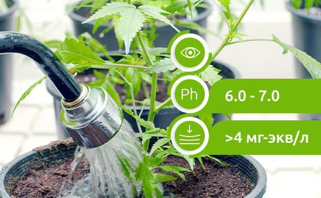 Требования к воде для полива конопли