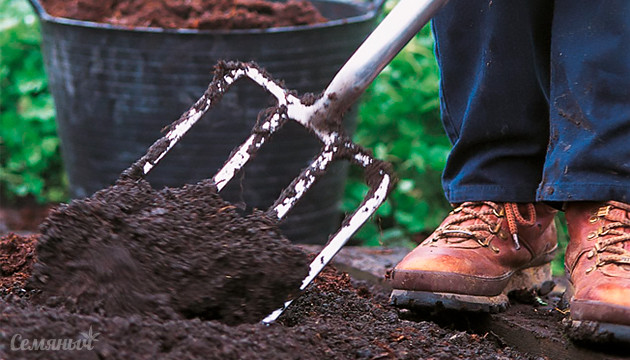 Почва для аутдора