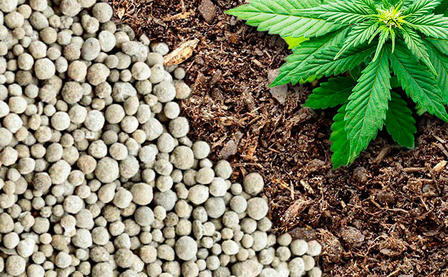 Стимуляторы и удобрения Удобрения и стимуляторы