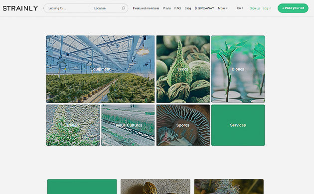 Канна-энтузиасты от Strainly