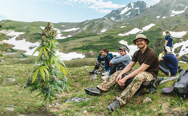 Поиски ландрейсов Охотники за ландрейсами