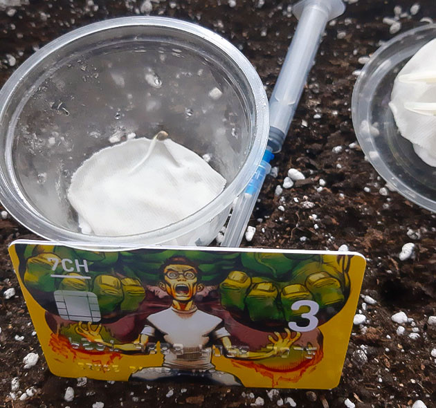 Состав субстрата для Bruce Banner Auto