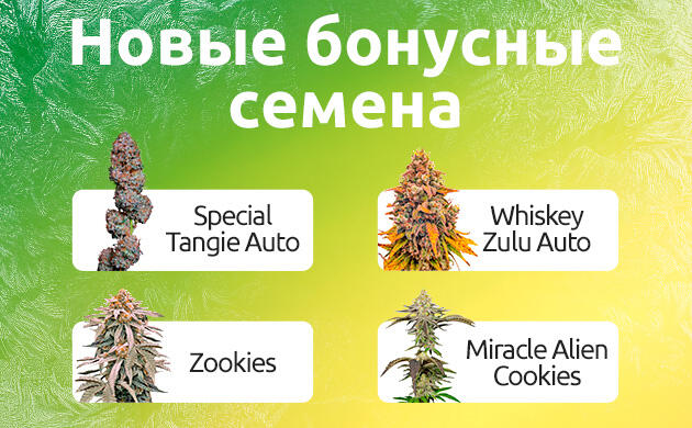 Новые бонусные семена