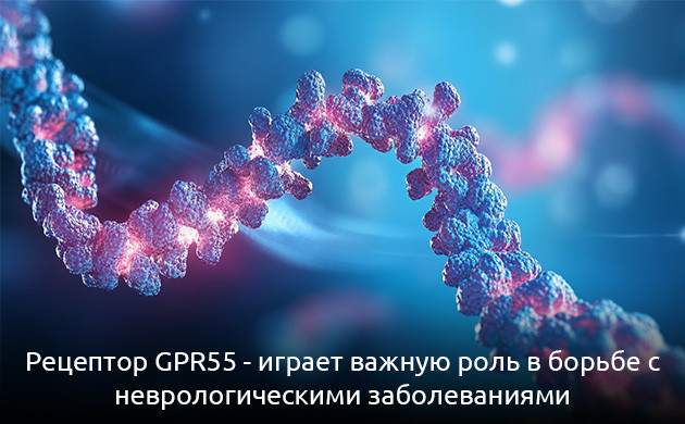 Роль GPR55 в лечении