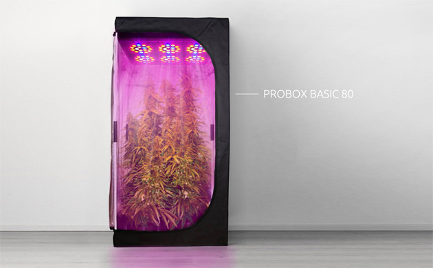 Гроутент для выращивания конопли