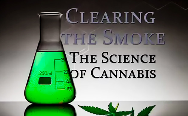 Развеивая дым: наука о марихуане 2011 год Развеивая дым: наука о марихуане 2011 год