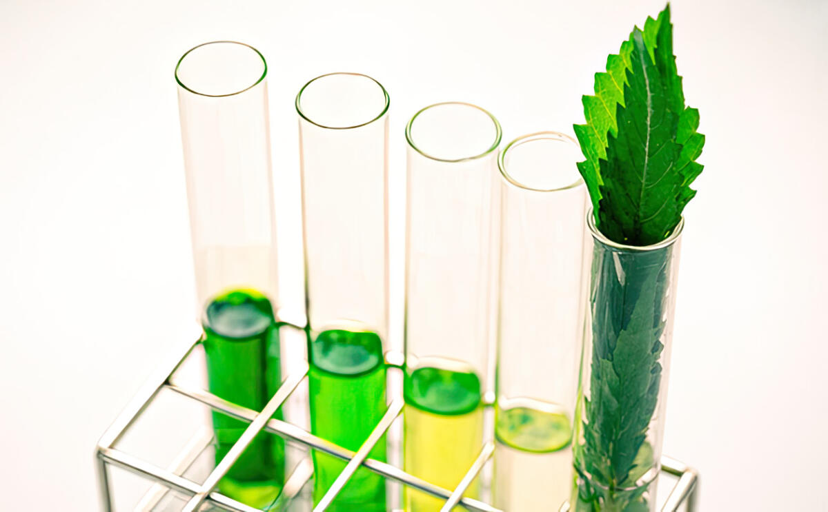 Ароматические соединения каннабиса, влияющие на вкус и эффект сорта Химический профиль терпенов каннабиса