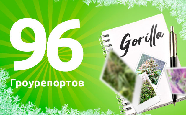 Доступны подробные гроурепорты Комплексные отчеты о выращивании