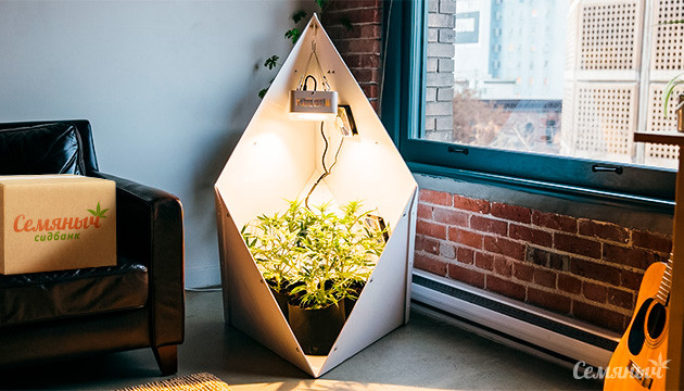 Система выращивания конопли Leaflit