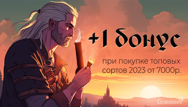 Акция от Семяныча: конец сезона