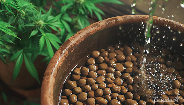 Популярный субстрат для растений Керамзит: идеальный выбор для гидропоники