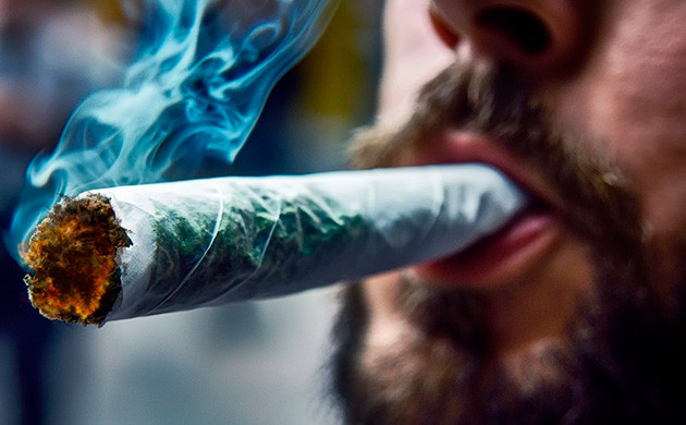 Толерантность к каннабису