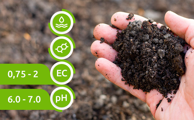 Факторы влияющие на подбор грунта