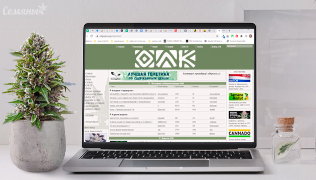 Общество любителей конопли Форум ОЛК